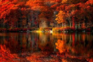 Fall