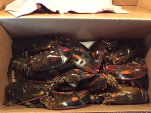 Lobsters