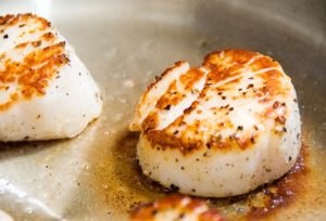 Scallops100