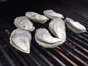 Oysters2