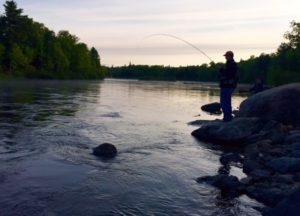 MattFishing