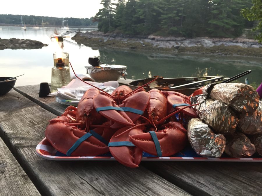 Cooking while Camping!